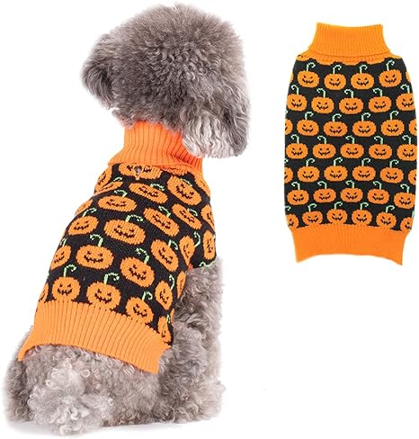 dog pumpkin sweater