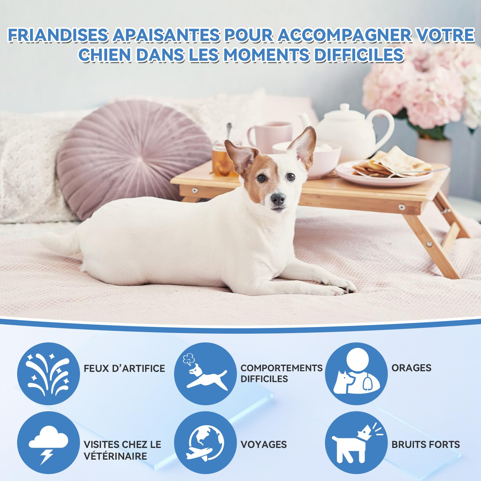 WEALLIN Bouchées Anti-Stress pour Chiens, 200 unités Calmant à Mâcher pour Chiens, Favorise Le Bien-être, Le Comportement Calme et l'Équilibre, pour Toutes Les Races Tailles Saveur Poulet