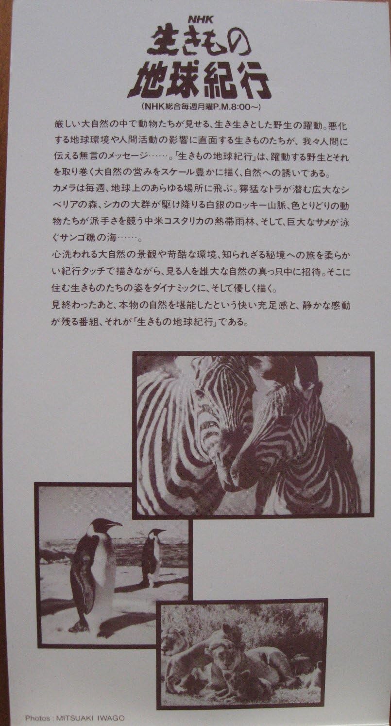 Amazon Tomorrow 杉本竜一 杉本竜一 カラオケ サウンドトラック ミュージック Amazon Tomorrow 杉本竜一 杉本竜一 カラオケ サウンドトラック ミュージック