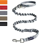 AUROTH Heavy Duty Bungee Dog Leash for Medium Large Breed Dogs, No Pull Leashes for Shock Absorption with Car Seat Belt, 2 Padded Handles 4.5FT 6FT Training Dog Leash