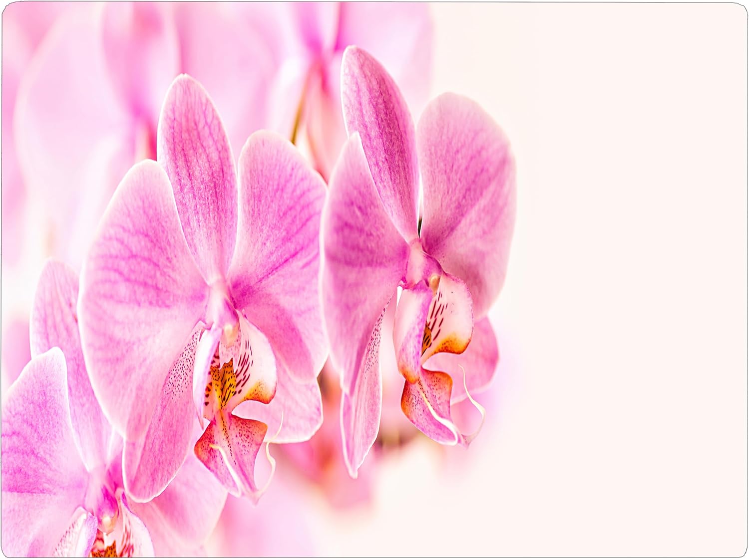 Wildflowers Floral Pattern Flower Love Kitchen Glass Cutting Board Decorative Valentine's Mother's Day Gift For Her Flowers (Wildflowers)