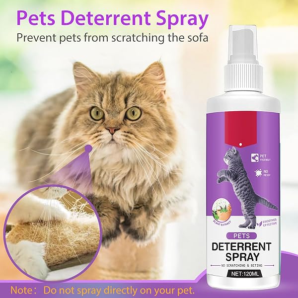 Katzenabwehrspray, Natürliches Hundeabwehrspray – Effektiver Kratzschutz für Möbel und Innenräume – Tierischer Schreck für Hunde & Katzen bei unsachgemäßem Verhalten – Für Innen & Außen - 2