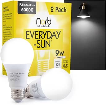 Norb Everyday Sun Light Bulbs | Full Spectrum Light Bulb LED 5000K Daylight | High CRI 97 Natural Color | Dimmable 800 Lumens A19 E26 for Energy, Mood & Performance | Energy Efficient 9W | 2-Pack