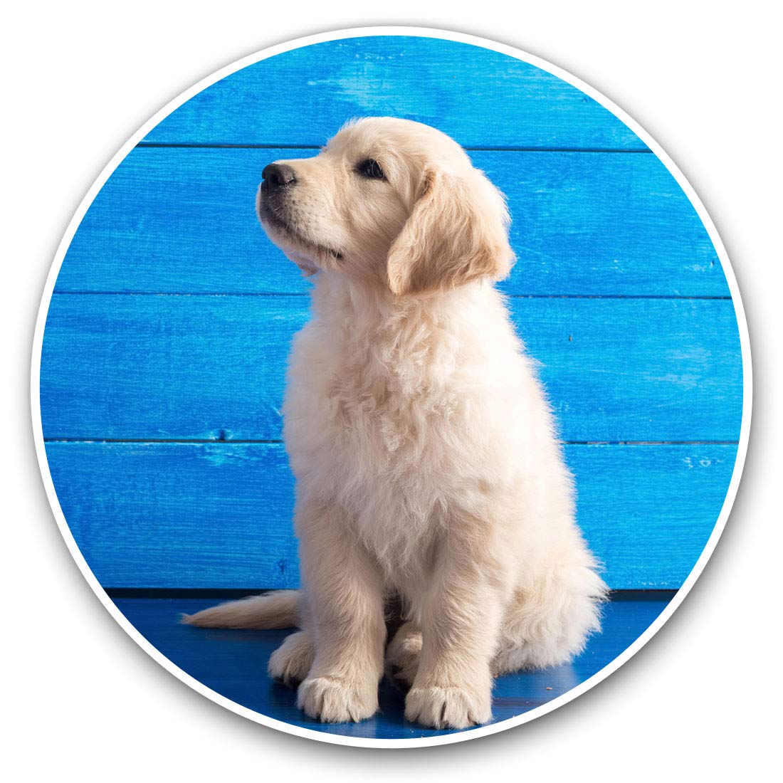 Destination Vinyl Ltd Golden Retriever Labrador Puppy 15837 Vinyl Stickers (Set Of 2) 7.5Cm - Golden Retriever Labrador Puppy #15837