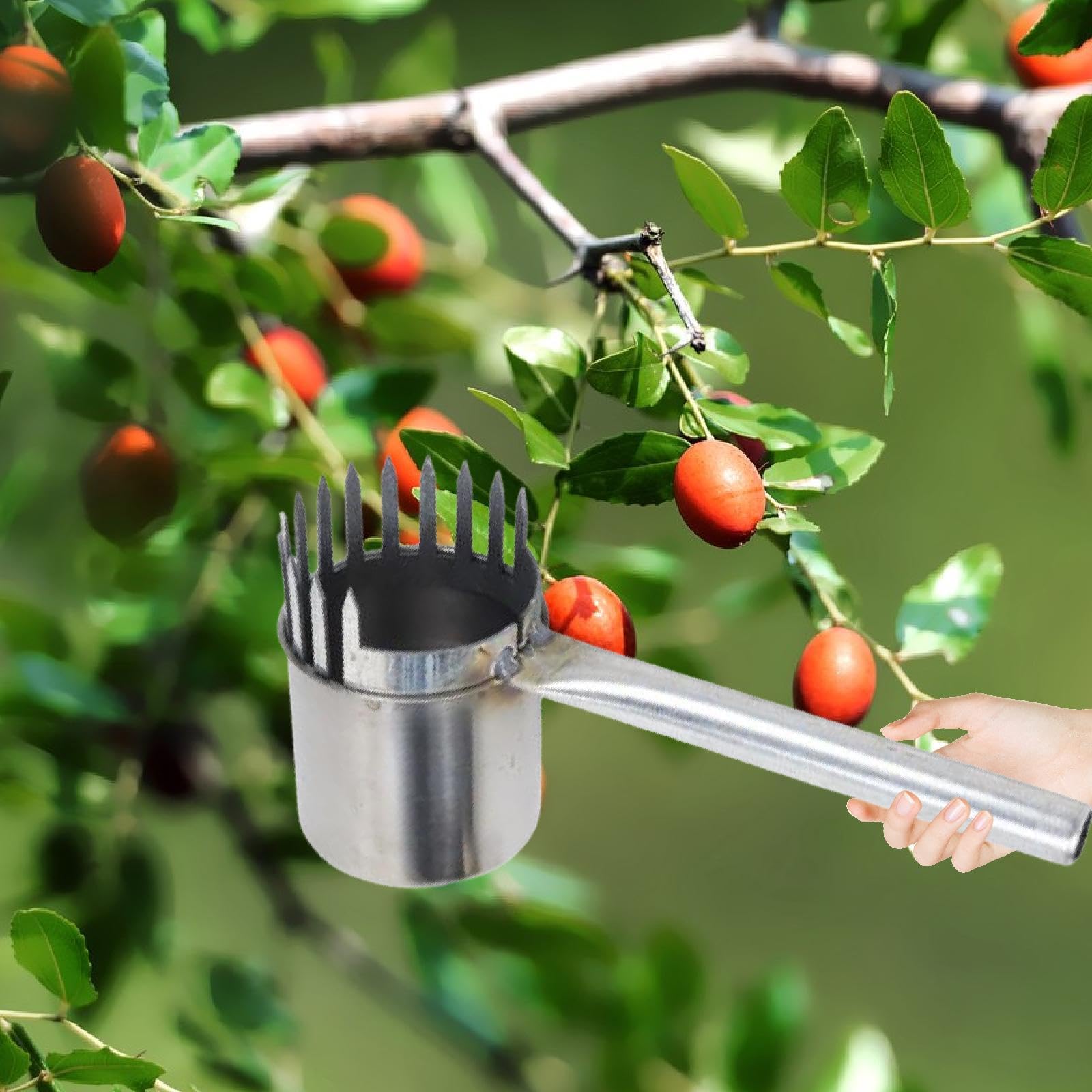 ????? Fruit Picker Dates Picking Tool Professional Easy to Use Portable Manual Agricultural Tool