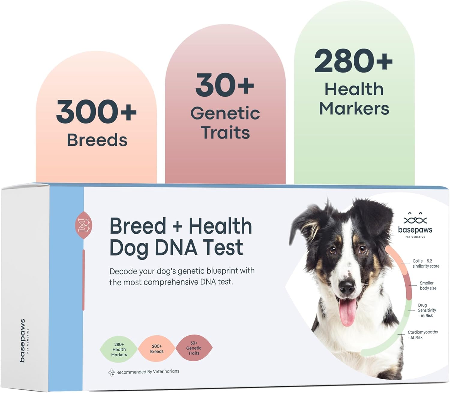 Basepaws Dog DNA Testing Kit - 300+ Breeds