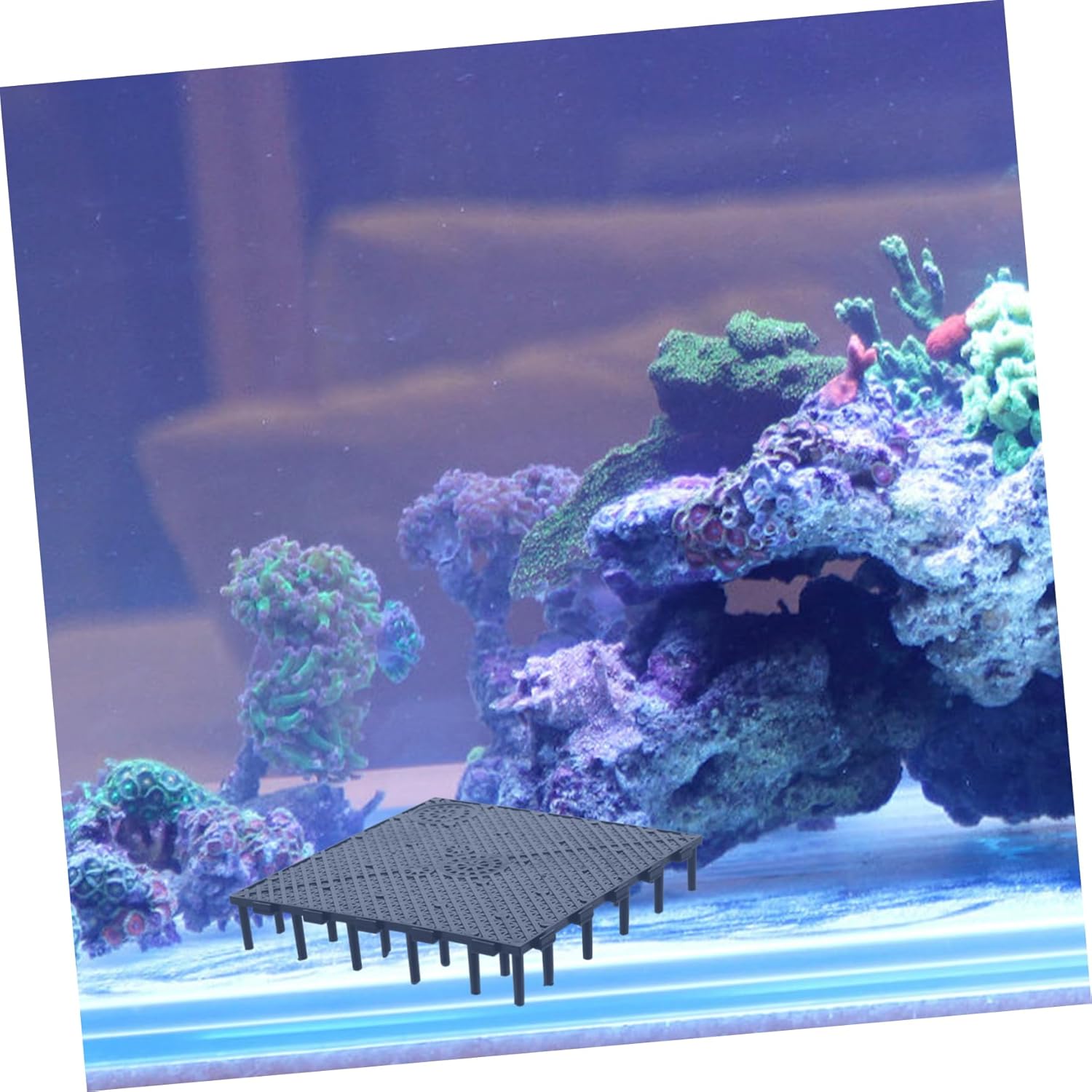 Hemobllo Aquarium Bottom Grid Fish Tank Board Divides Tray Aquarium Divider Bottom PVC Splicing Black Bottom Board