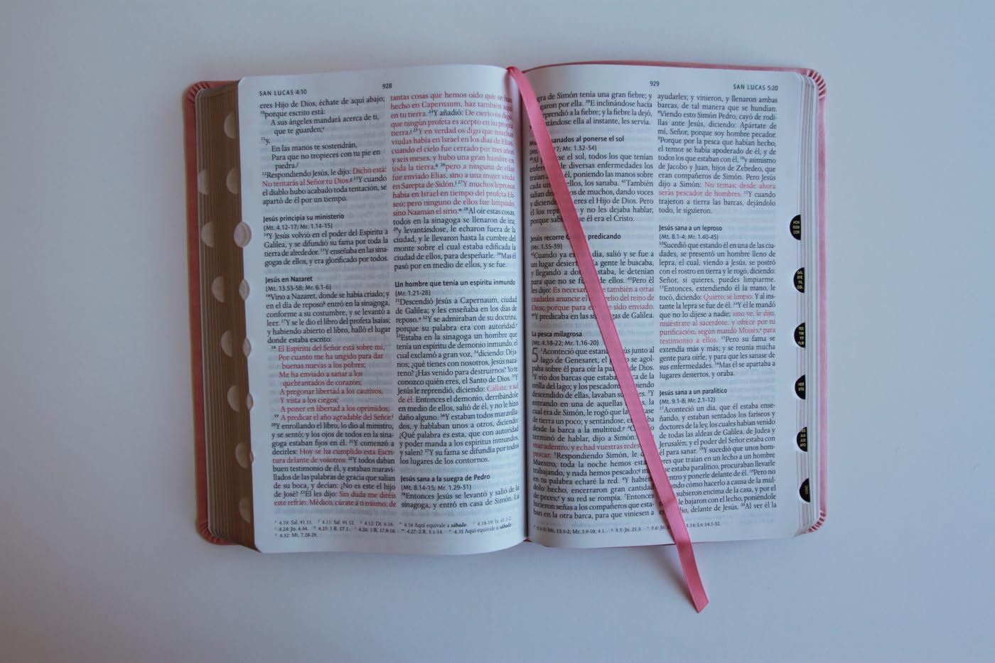 Biblia RVR 1960 letra grande tamaño manual, Piel rosada con índice / Spanish Bible RVR 1960 Handy Size Large Print Leathersoft pink with index: ... Piel Rosada / Reina-Valera 1960 Leathersoft