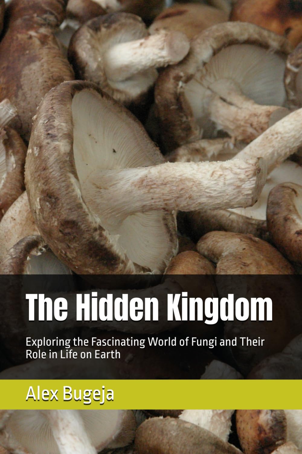 The Hidden Kingdom: Exploring the Fascinating World of Fungi and Their Role in Life on Earth