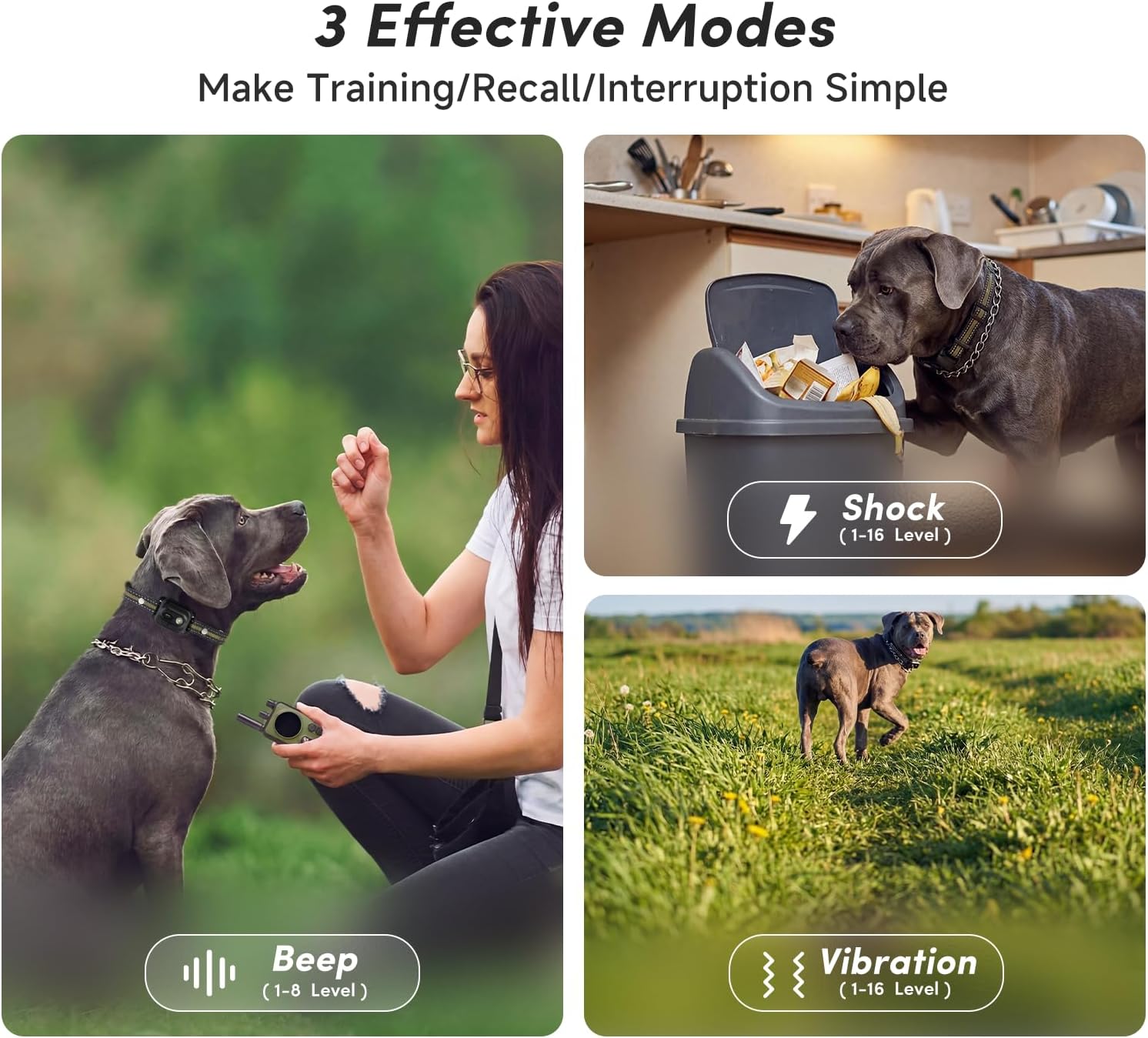 Next Gen Shock Collar for 2 Dogs, Real Time Dual-Dog Control, 4 Modes (Beep/Vibration/Safety Shock/Light), 4200FT Range, IPX8 Waterproof Dog Training Collar with Remote for Small Medium Large Dogs
