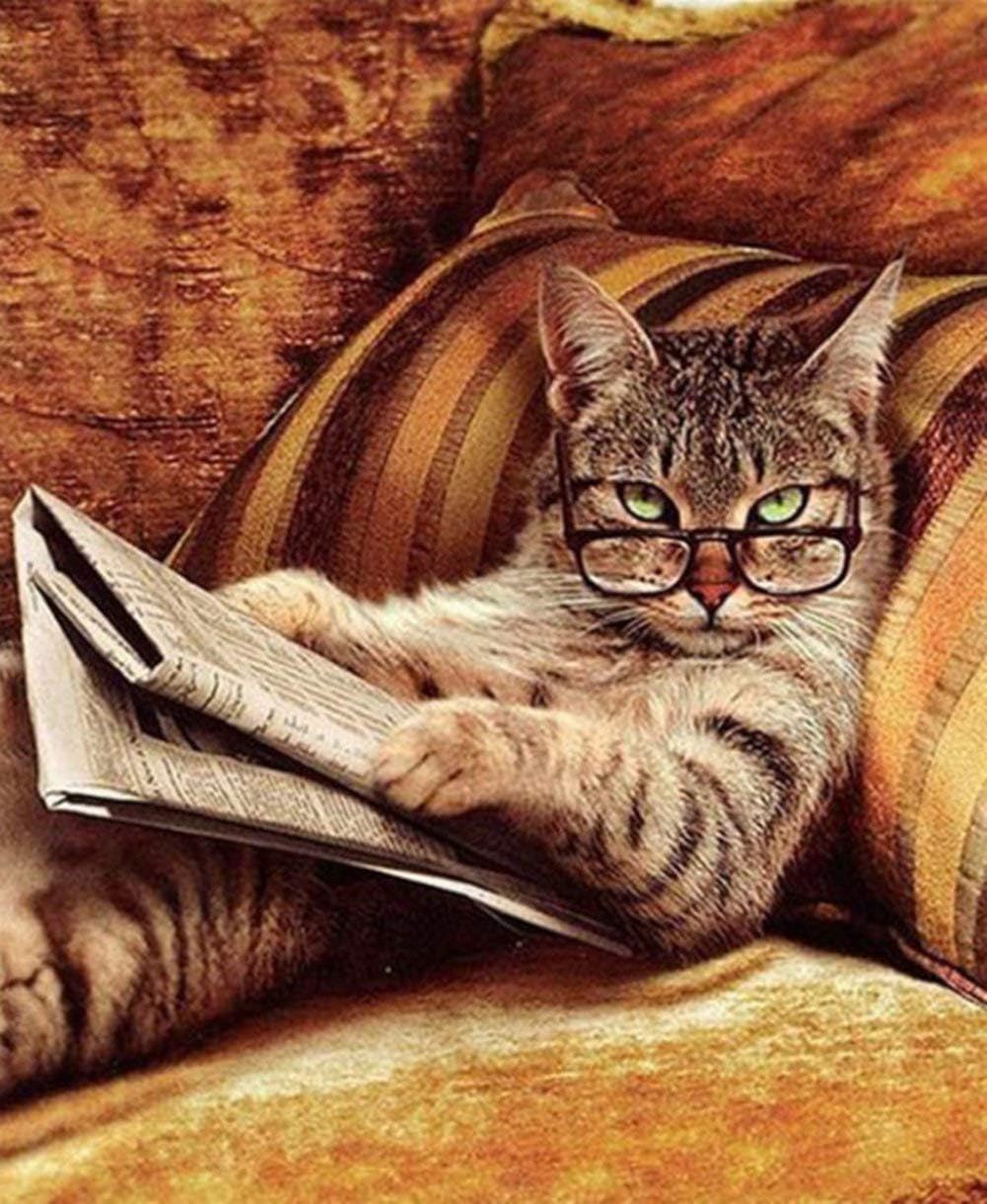 Diamond Painting Kits for Adults, Cat Diamond Painting Full Drill