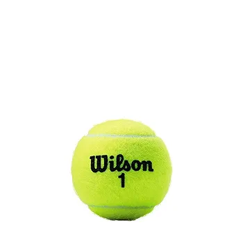 新品 ダンロップ ウィルソン 硬式 テニスボール 17個 まとめて Wilson ウイルソン 「CHAMPIONSHIP EXTRA DUTY チャンピオン