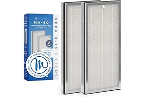 Medify MA-40 Air Purifier Medical Grade H13 True HEPA Replacement Filter (ME-40, 2-Pack)