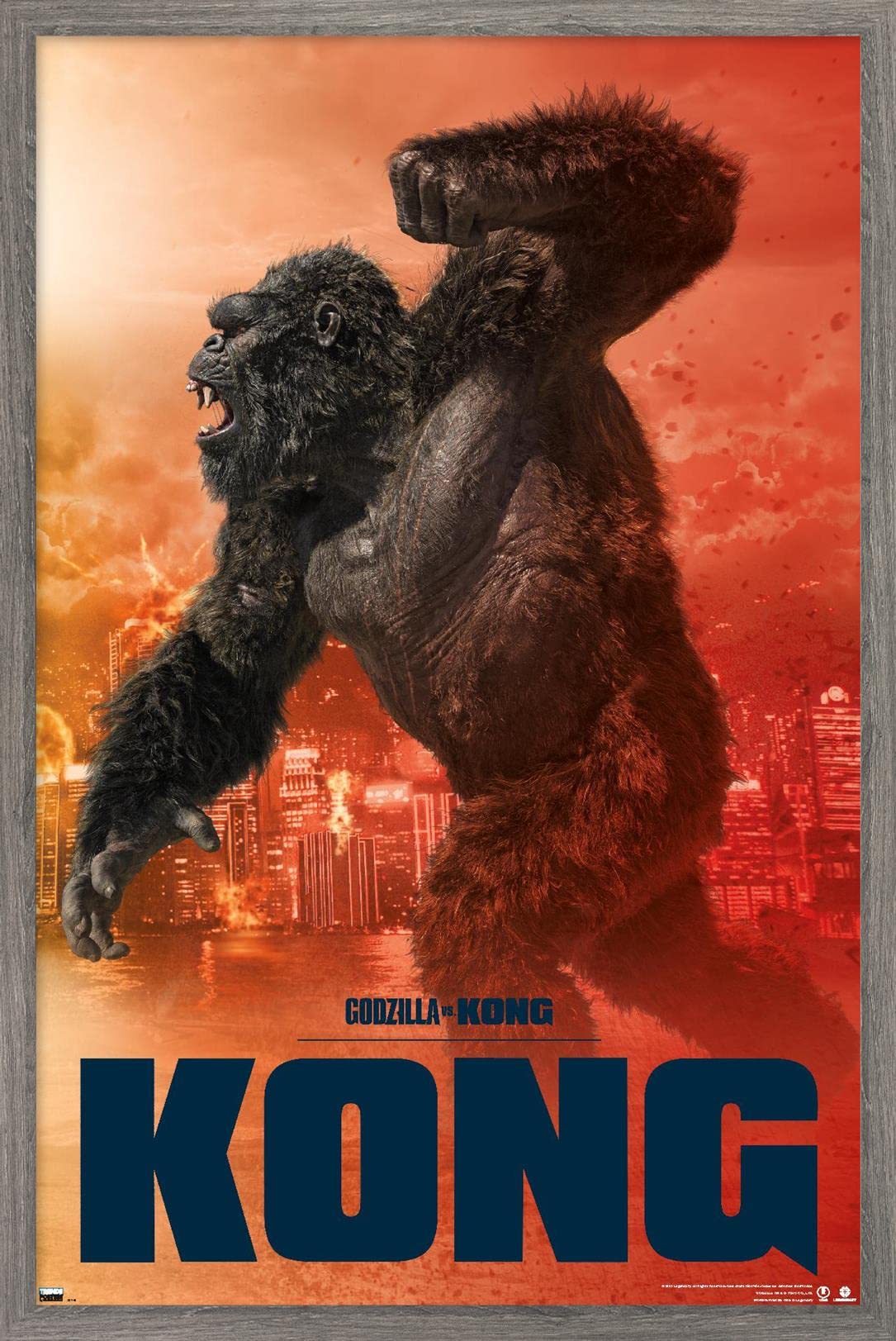 Amazon.com: Godzilla vs. Kong - Kong Wall Poster, 34L