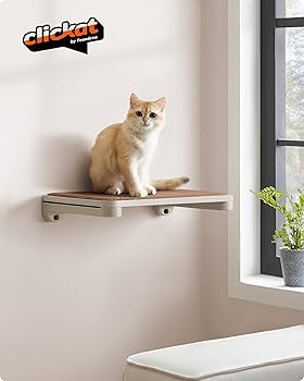 置物 maocat 置物 maocat Amazon.com: MeowHomm Cat Wall Shelves, Set of 5