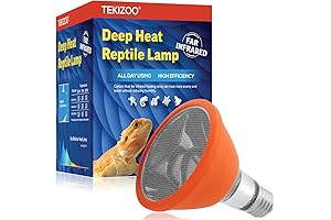 Deep Heat Projector: Reptile and Amphibian Paradise