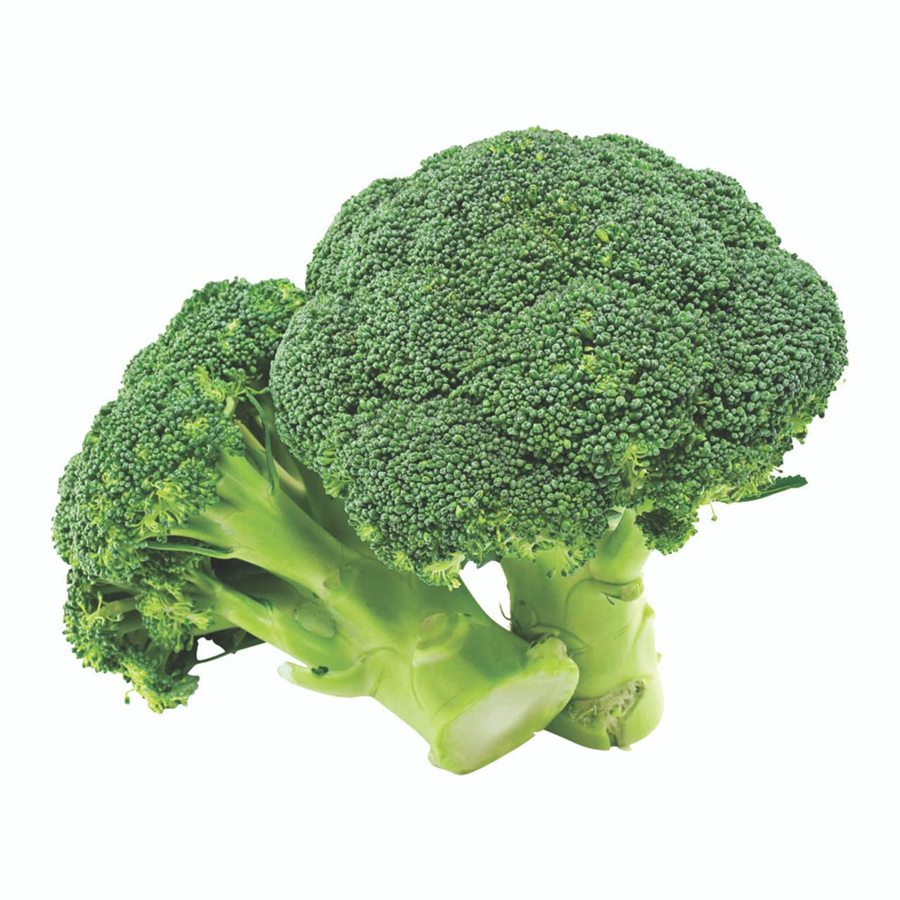 E Garden Broccoli Benforte.Prevent Cancer and Heart Diseases 50 Seeds (B00M9DOAX4) Amazon Price History, Amazon Price Tracker