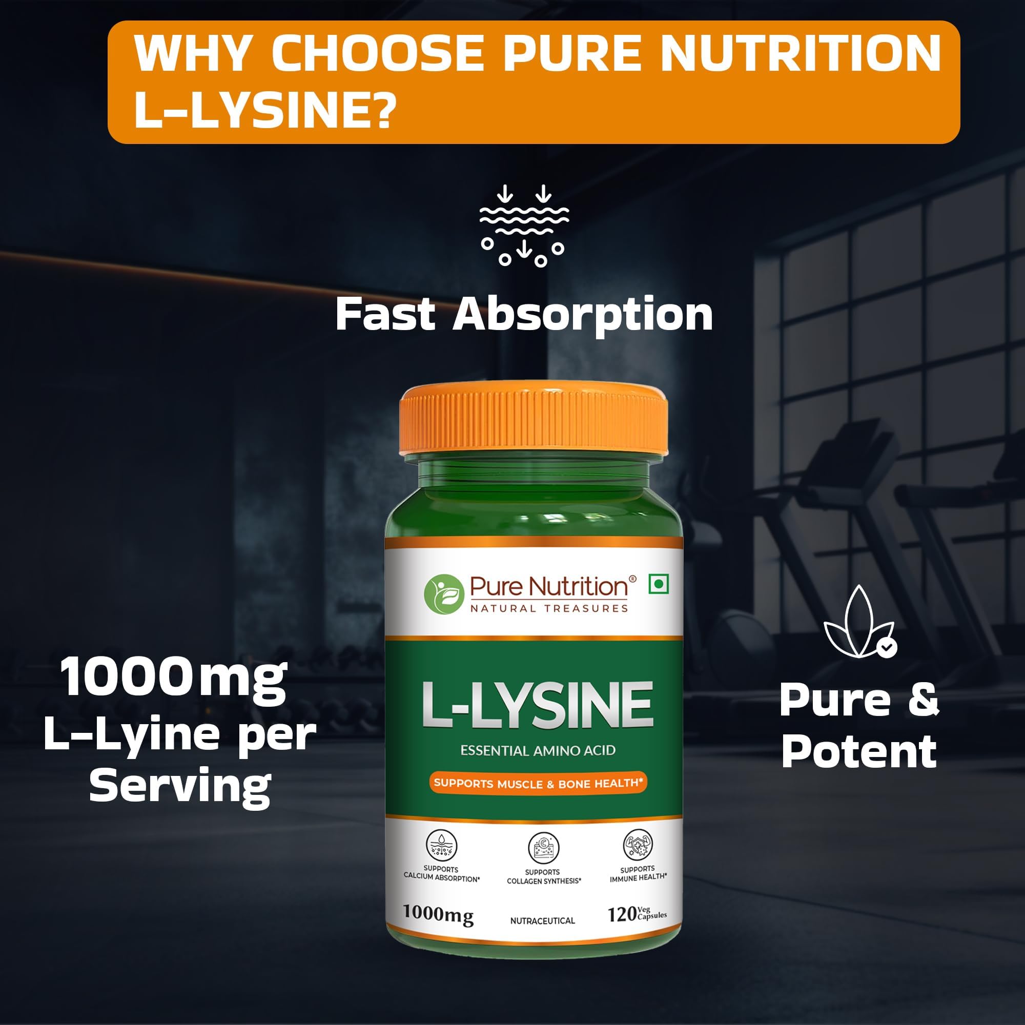 Pure Nutrition L-Lysine 1000mg – 120 Veg Capsules (120×2) | Essential Amino Acid Supplement | Supports Muscle & Bone Health, Calcium Absorption & Collagen Synthesis 2