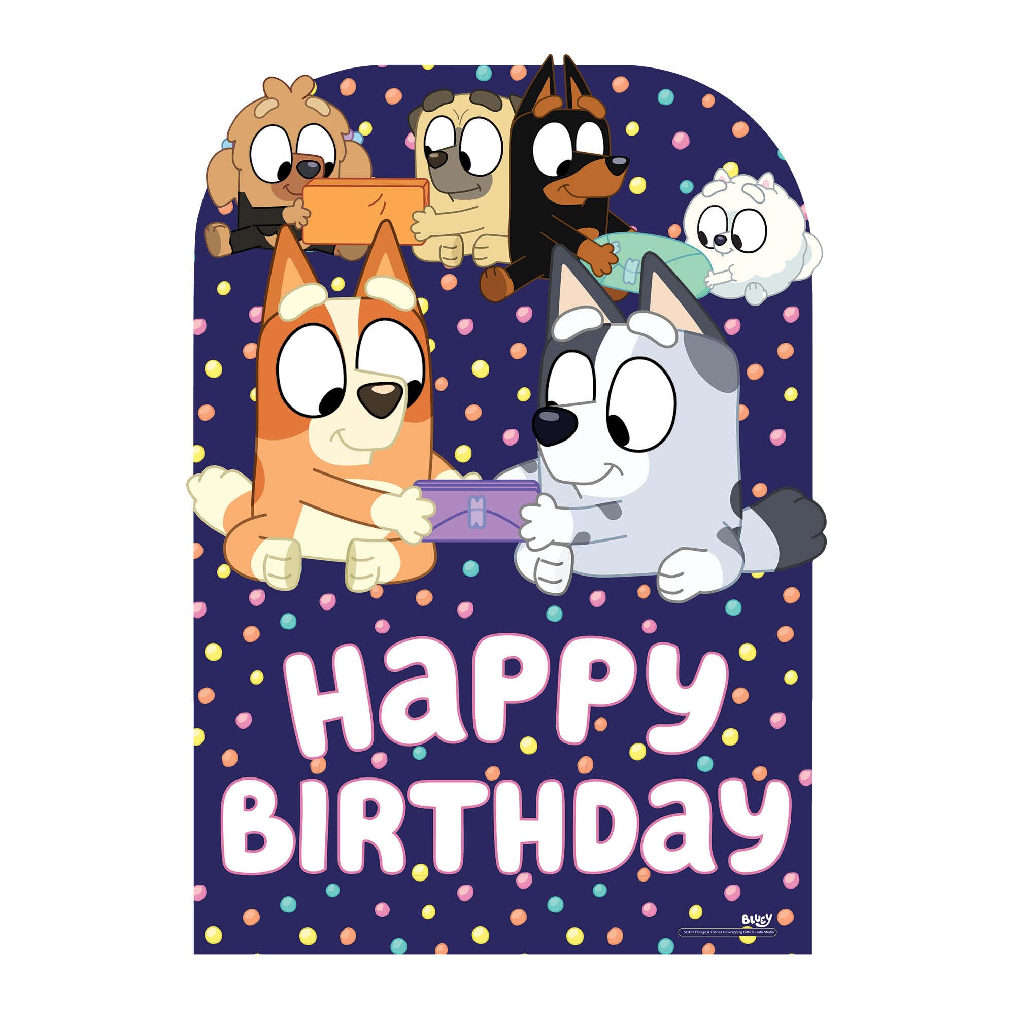 Bluey and Friends Birthday Cardboard Cutout Backdrop Party Scenery Sailboard