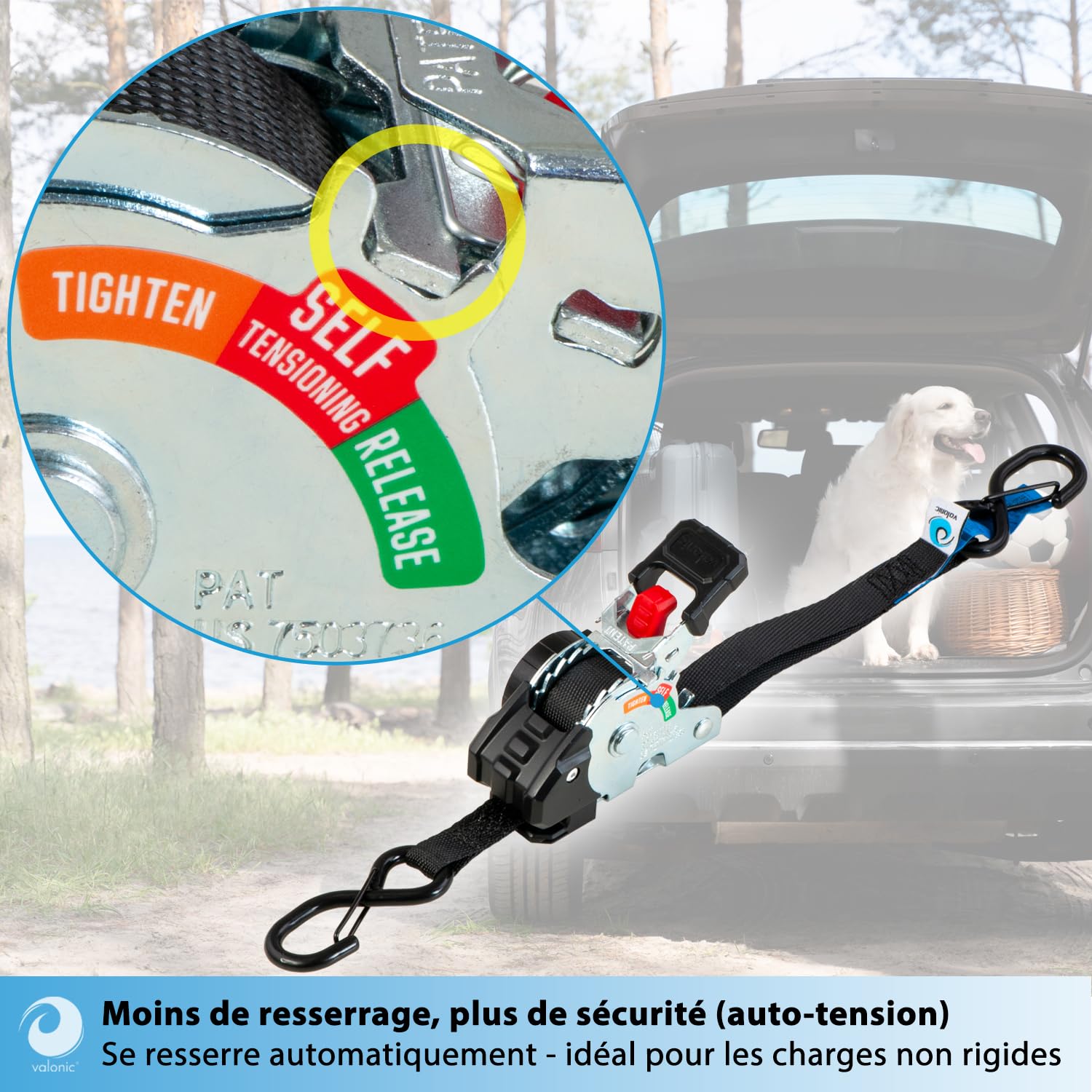 valonic Creta, Mini Sangle a cliquet 2 m, pour Coffre et remorque, Lot de 4, 150 kg Force d'arrimage, 19 mm, Sangles, pour Auto et Transport, pour Trajet Quotidien