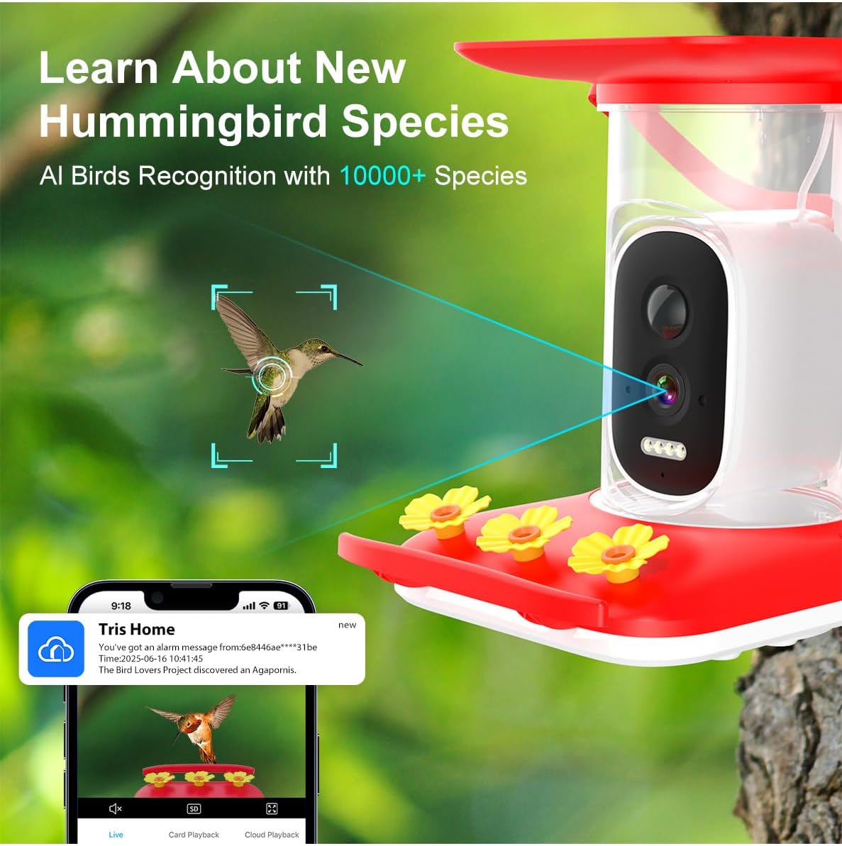 Smart Hummingbird Feeder with Camera, All-in-One Integrated Solar Roof – No Wires, 2.5K HD Color Night Vision, AI Identified Solar Hummingbird Feeder, Leakproof Design Hummingbird Feeders for Outdoors
