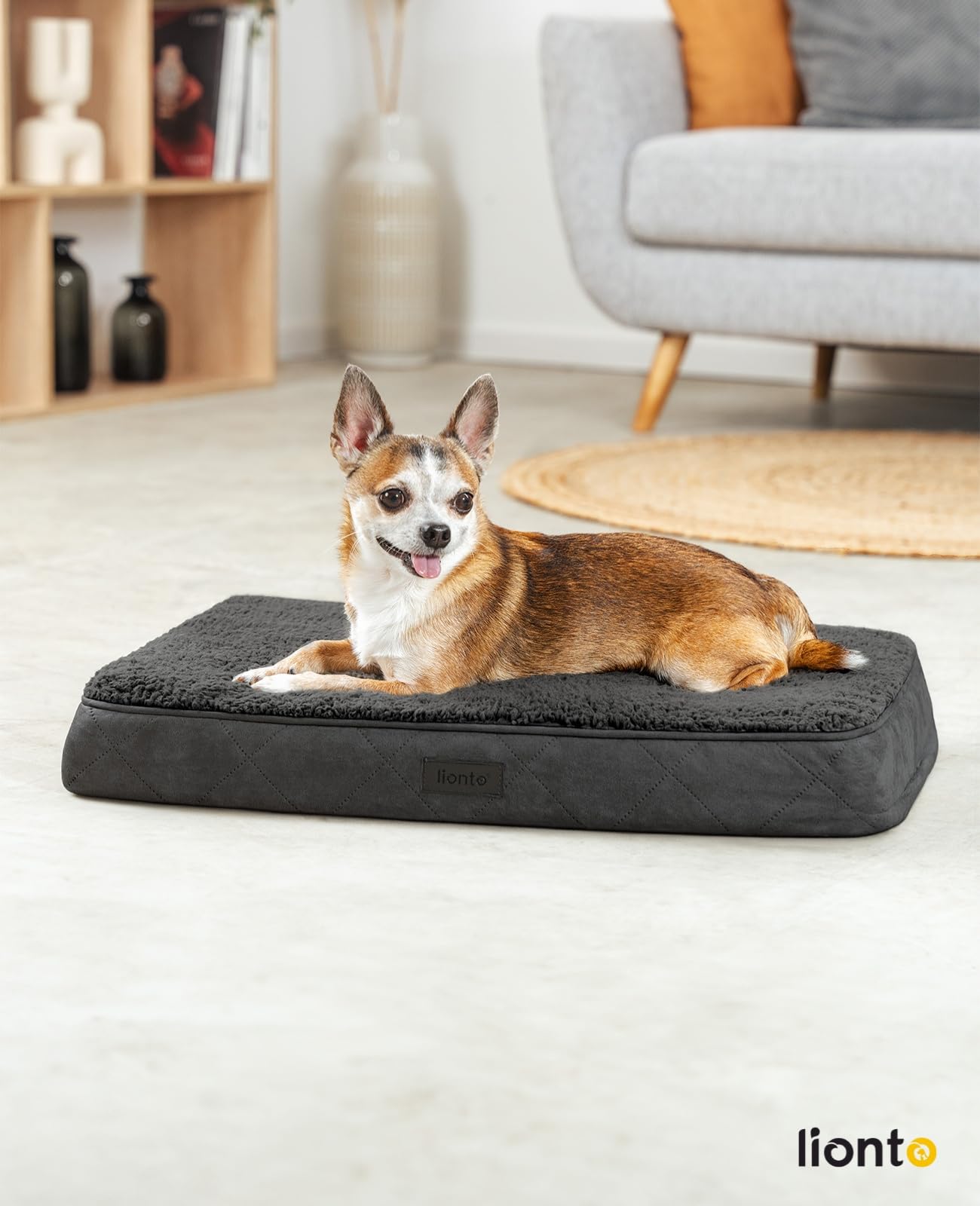 lionto Orthopaedic Dog Bed, 60 x 40 x 8 cm, Robust Dog Cushion with Soft Plush, Removable & Washable Cover, Water-Repellent - Image 2