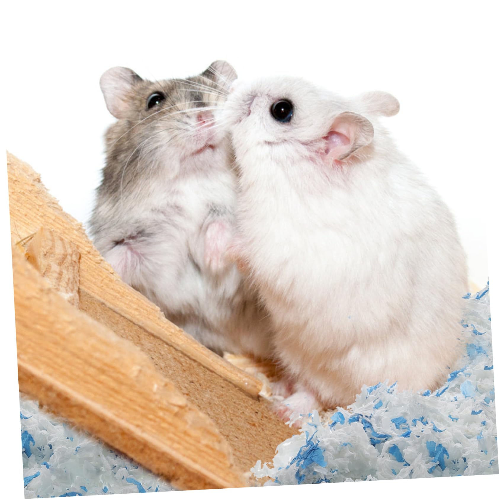 SUPVOX Lettiera in Carta per Criceti e Porcellini D’India, 1 Sacchetto da 450g, Assorbente e Antiodore, per Gabbia di Piccoli Animali Domestici | Conigli e Gabbie per Animali, Assorbente, Formato Singolo per Uso Domestico, Accessorio per Piccoli Roditori