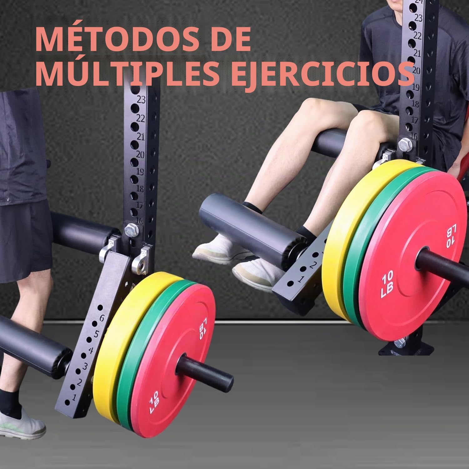 AHTAPFON Equipo para extensión y flexión de piernas Sentado, máquina de extensión de piernas Ajustable, Apta para añadir Discos de Peso de 2 Pulgadas, Espuma Espesa, diámetro 12 cm