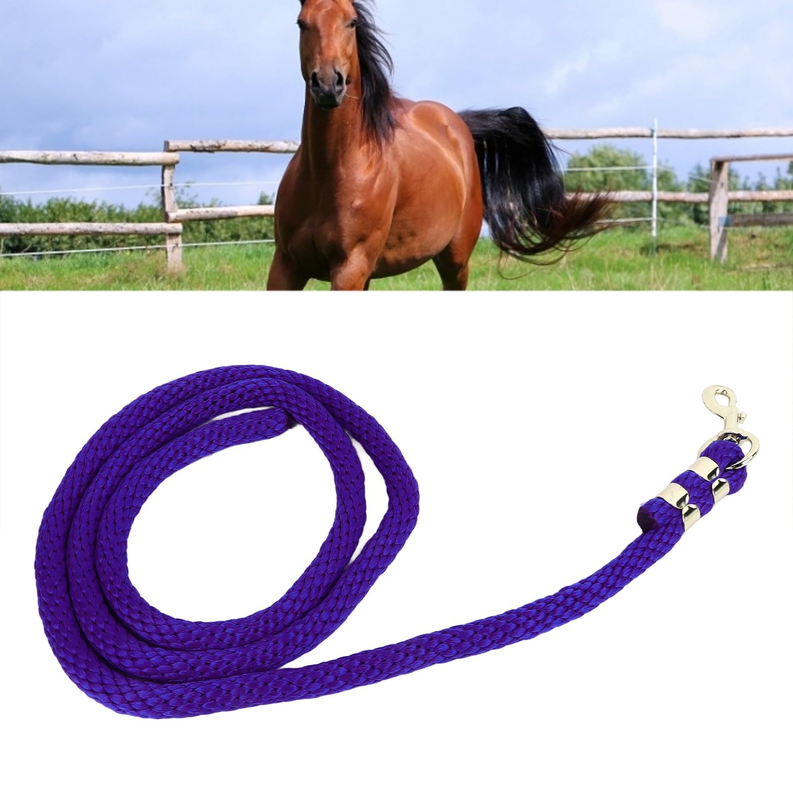 Linea di affondo per Cavalli con moschettone, Corda da addestramento per Cavalli Resistente, Linea di affondo in Rete ad Alta Resistenza per competizioni di Allenamento e trazione