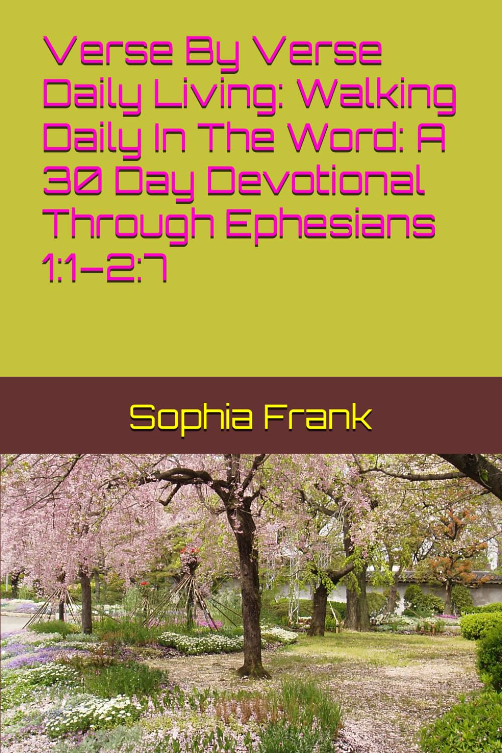 Verse By Verse Daily Living: Walking Daily In The Word: A 30 Day Devotional Through Ephesians 1:1–2:7