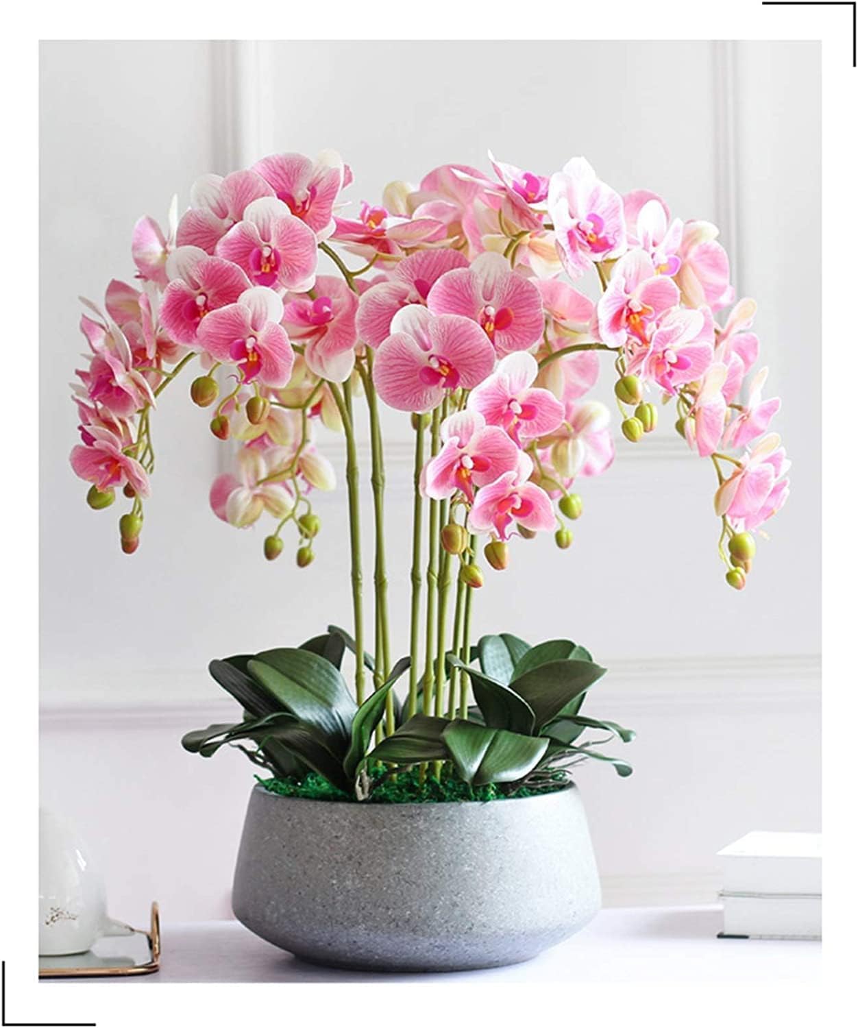 Orchidée Artificielle avec jardinière en Porcelaine Fleurs de phalaenopsis artificielles 10 Fausses orchidées artificielles 65 cm Fleurs artificielles