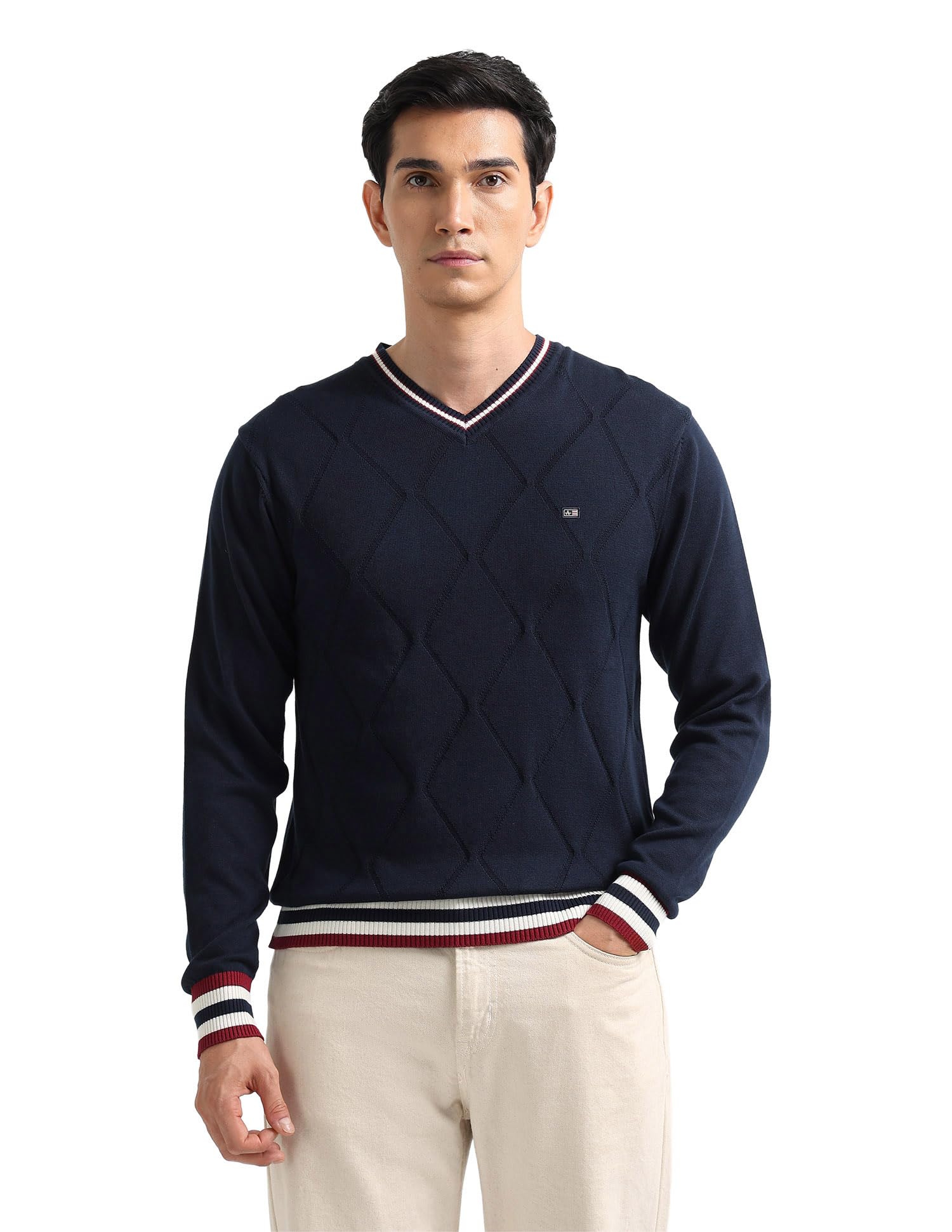 Geometric Patterned Knit Regular Fit Sweater-image-3