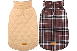 Burberry Style Dog Coat: Warm, Waterproof, and Stylish