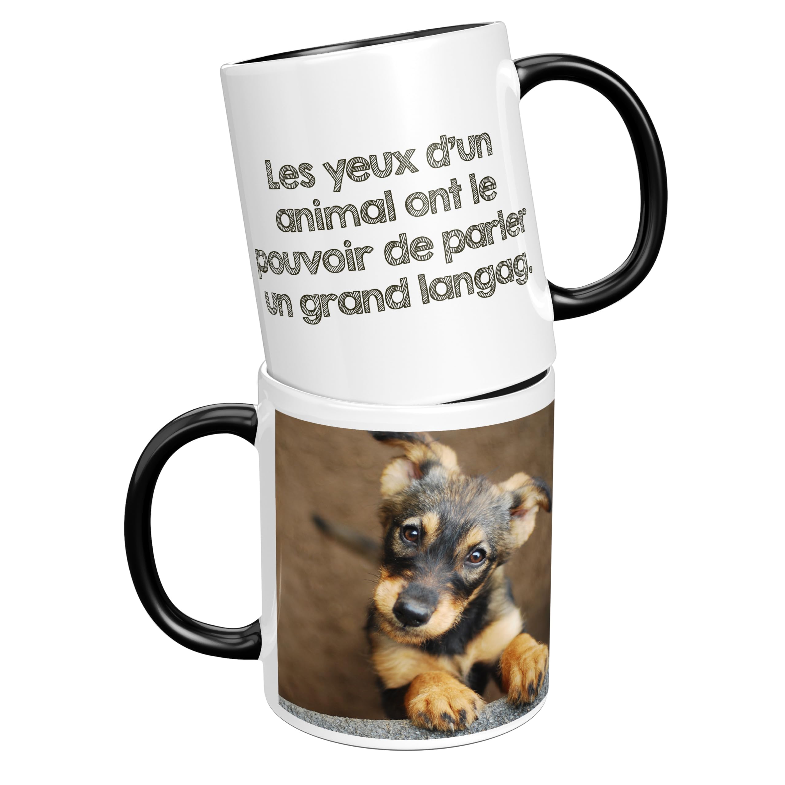 Canne De Marche En Bois Anatomique