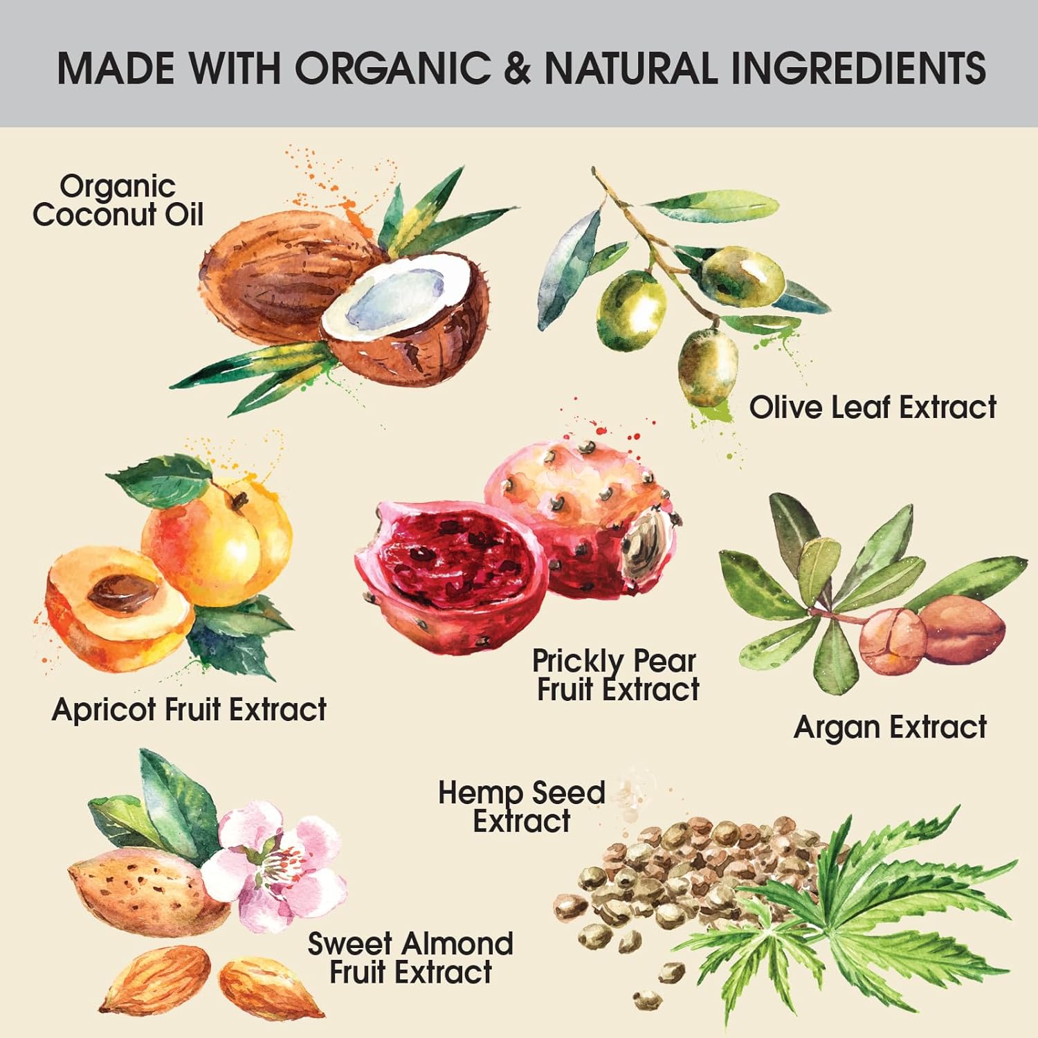 Ginger Lily Farms Botanicals Pure Castile Liquid Soap Refill, Fragrance-Free, 1 Gallon, All-Purpose Cleaner for Body, Face, Hair, Dishes, Laundry & Pets, 100% Vegan & Cruelty-Free (Pack of 4)