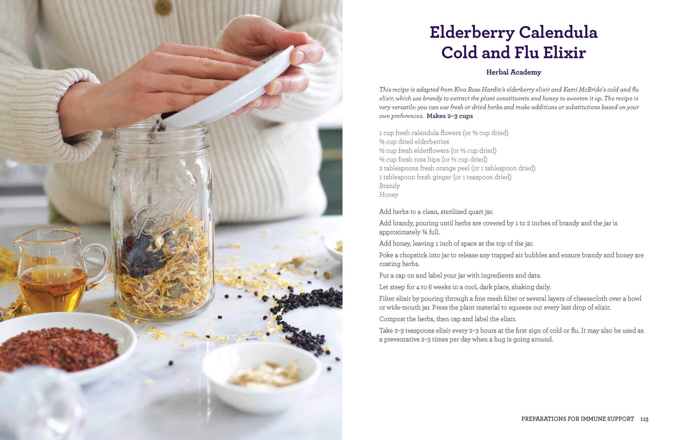 Everything Elderberry: How to Forage, Cultivate, and Cook with this Amazing Natural Remedy