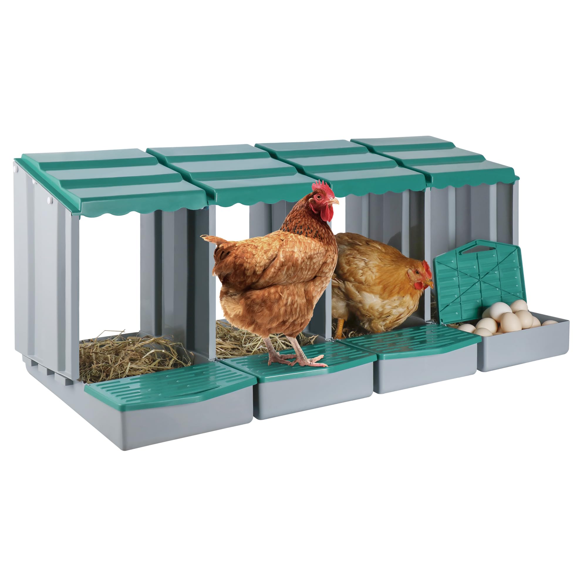 View 1 of EVERYGROW Chicken Nesting Boxes, Roll Away Nest Boxes for Chickens, 4 Compartment Roll Out Chicken Nesting Boxes, Plastic Nesting Box for Chicken Coop with Perch & Eggs Protected Collection Area