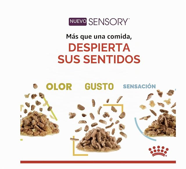 Foto 6 de 7 de Royal Canin Sensory Taste Comida húmeda en jalea para gatos exigentes, 12 x 85 g