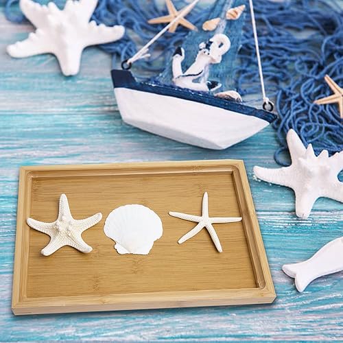 Miniatura 5 de JQAQJU Conchas grandes de estrella de mar y vieira de 3 a 4 pulgadas para manualidades, 12 unidades, conchas naturales de mar de playa para