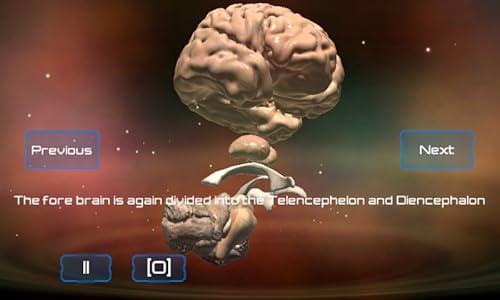 Interactive Neuro Anatomy 3d