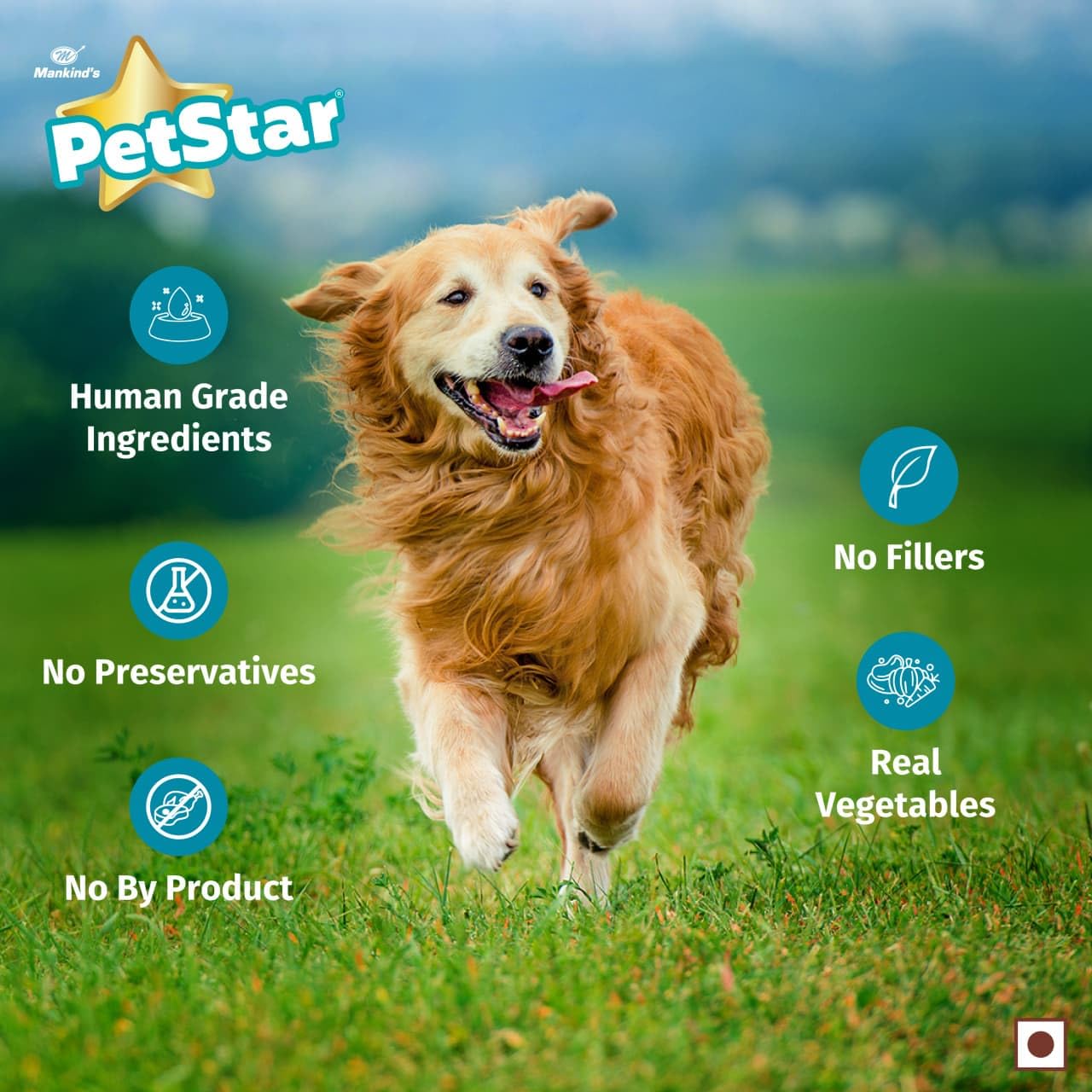 Mankind Petstar Adult Wet Dog Food (High Protein) Chunky Chicken Gravy, 120g (Pack of 5) | Made with Real Chicken & Veggies |Adult Dog Food| No Artificial Flavors 2