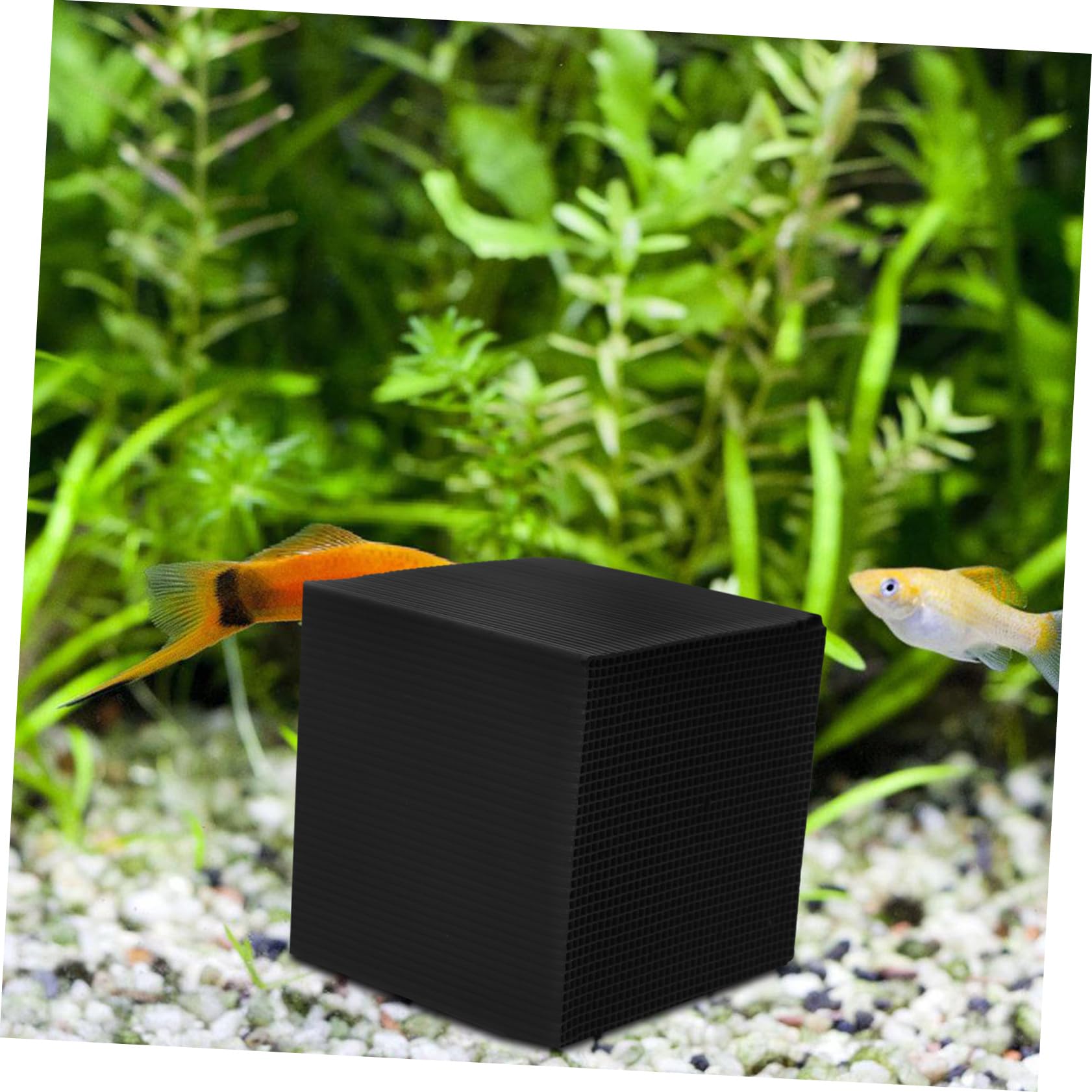 BESPORTBLE 5stücke Cube Fisch Tank Filterung Aktivkohle Würfel Effektive Wasserreinigung Für Aquarien Langlebig Und Praktisch Für Fischbecken