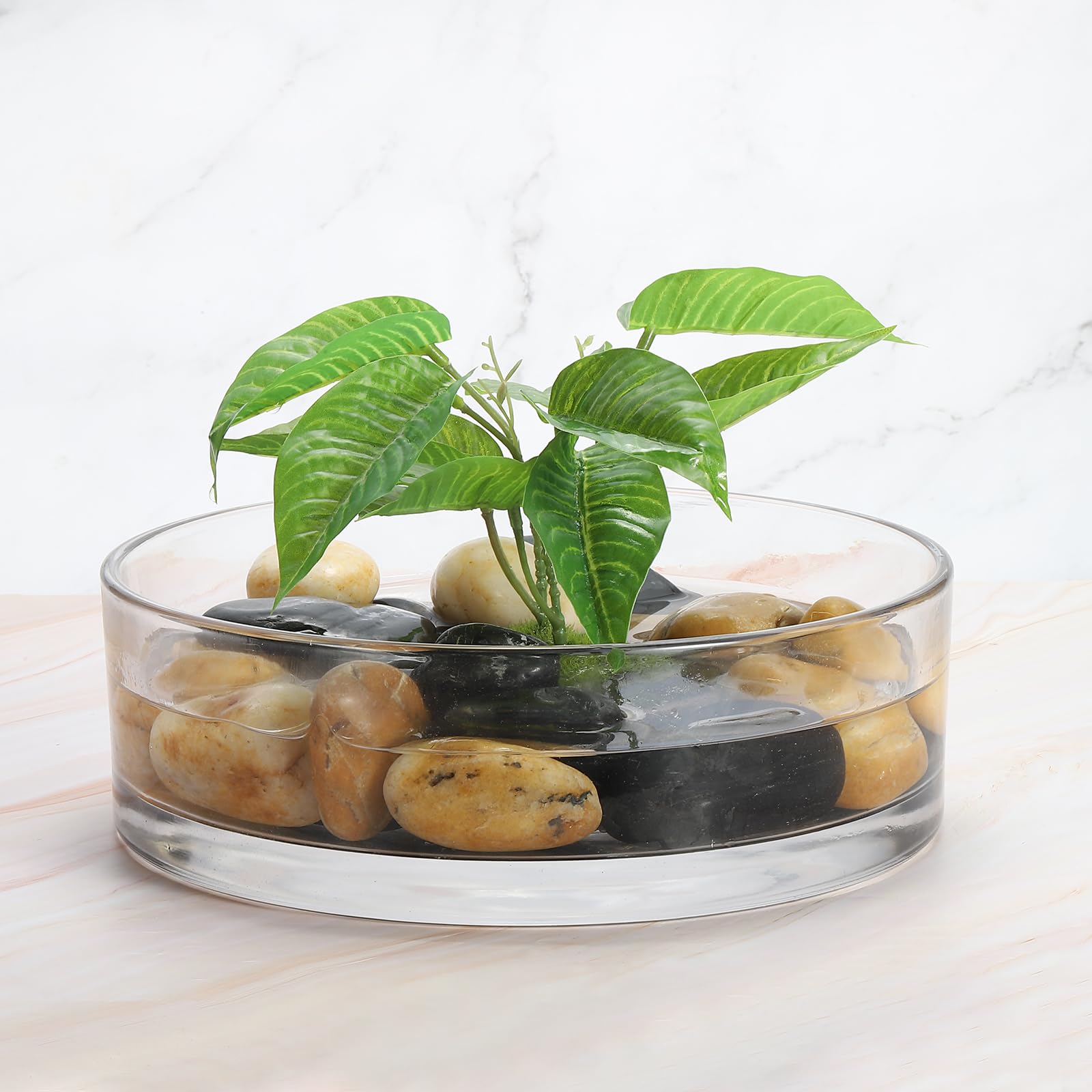 PATIKIL Vasi Cilindrici In Vetro 10x3 Pollici, Contenitore Per Piante E Terrario Trasparente Con Fondo Rinforzato Per Centrotavola Floreali Decorativi Decorazione Per Matrimoni Eventi