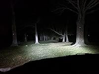 Review Image by Evan L. Evan L.