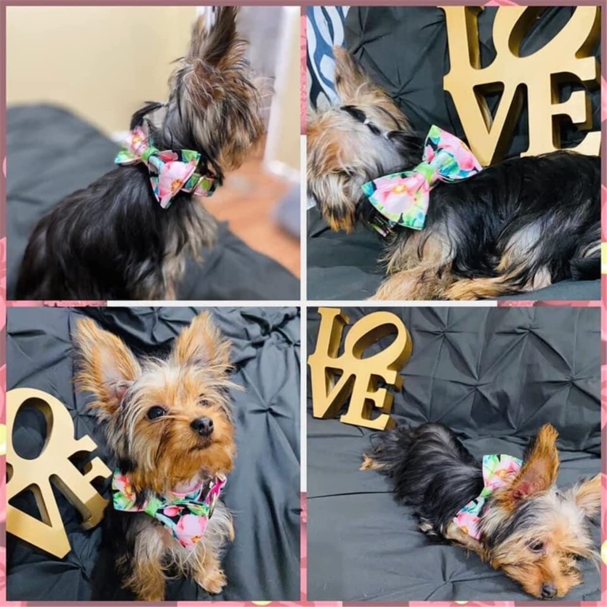 Correa Perro Correr Collar para Perro Mascota, Estampado Floral Rosa Personalizado, Bonito Conjunto De Y Correa para, Hebilla Liberación Rápida Antideslizantes Reforzada(42-48cm)