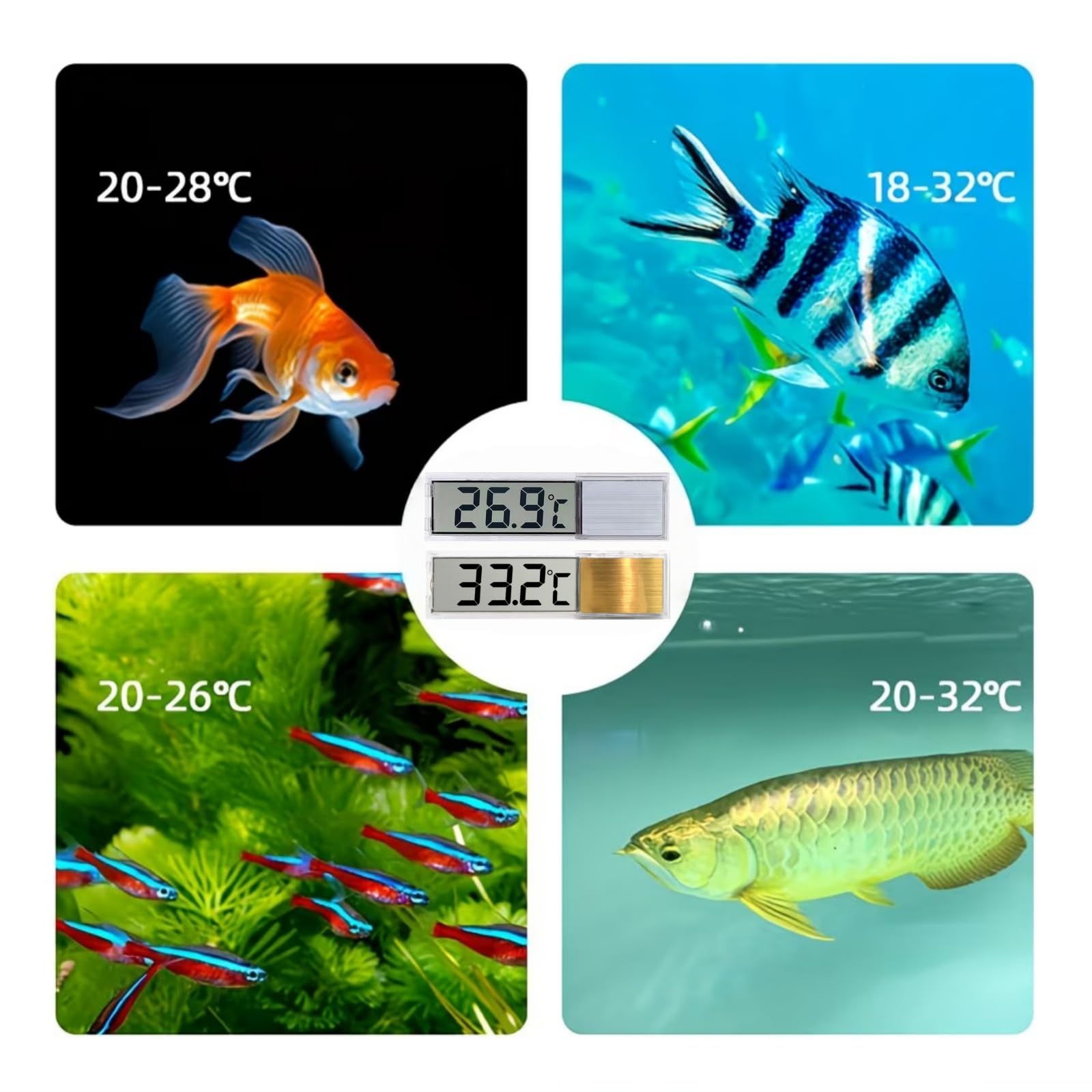 View 5