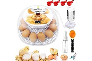Automatic Egg Incubator with Humidity Control