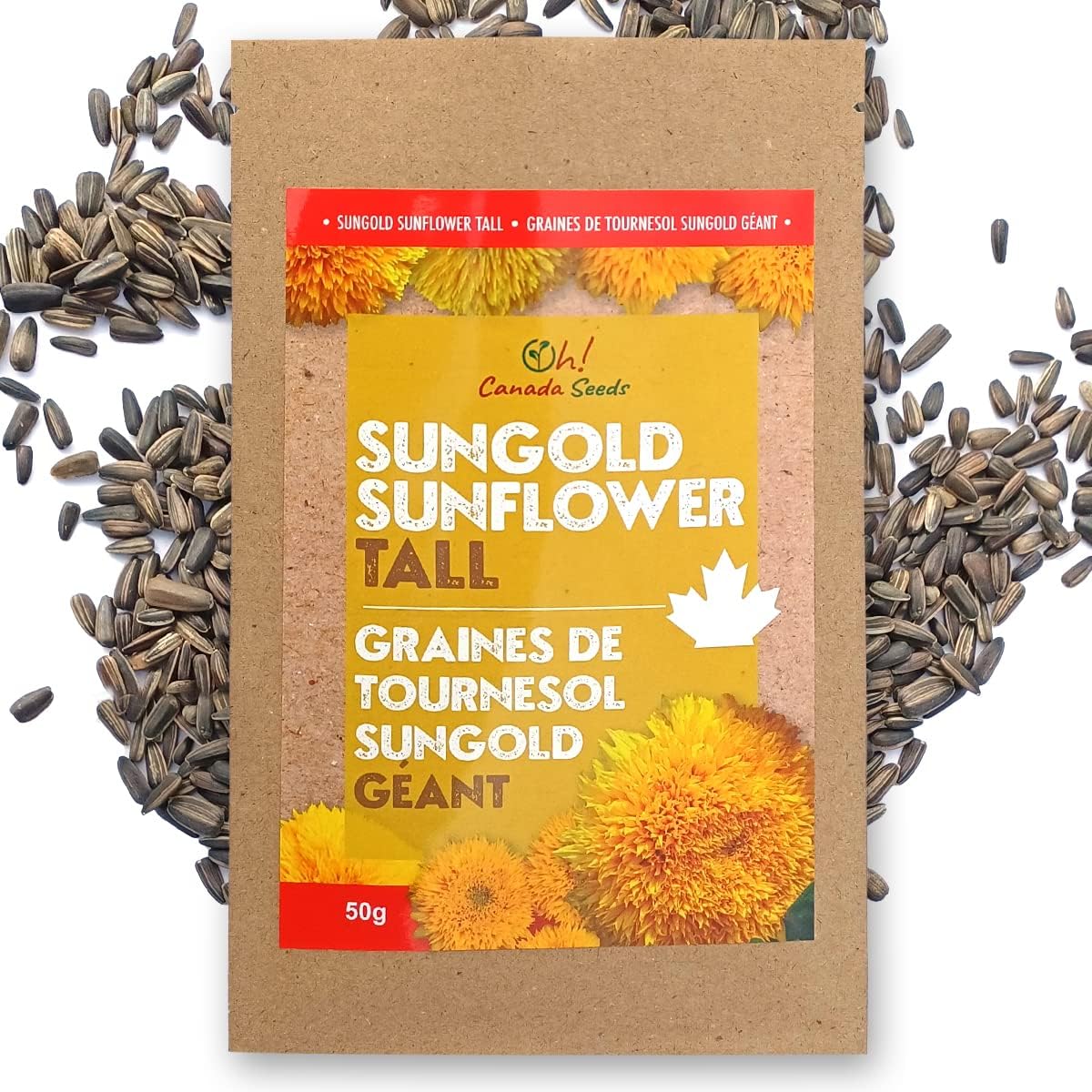 Oh! Canada Seeds 1,600+ Tall Teddy Bear Sunflower Seeds for Planting Canada Bulk Sungold