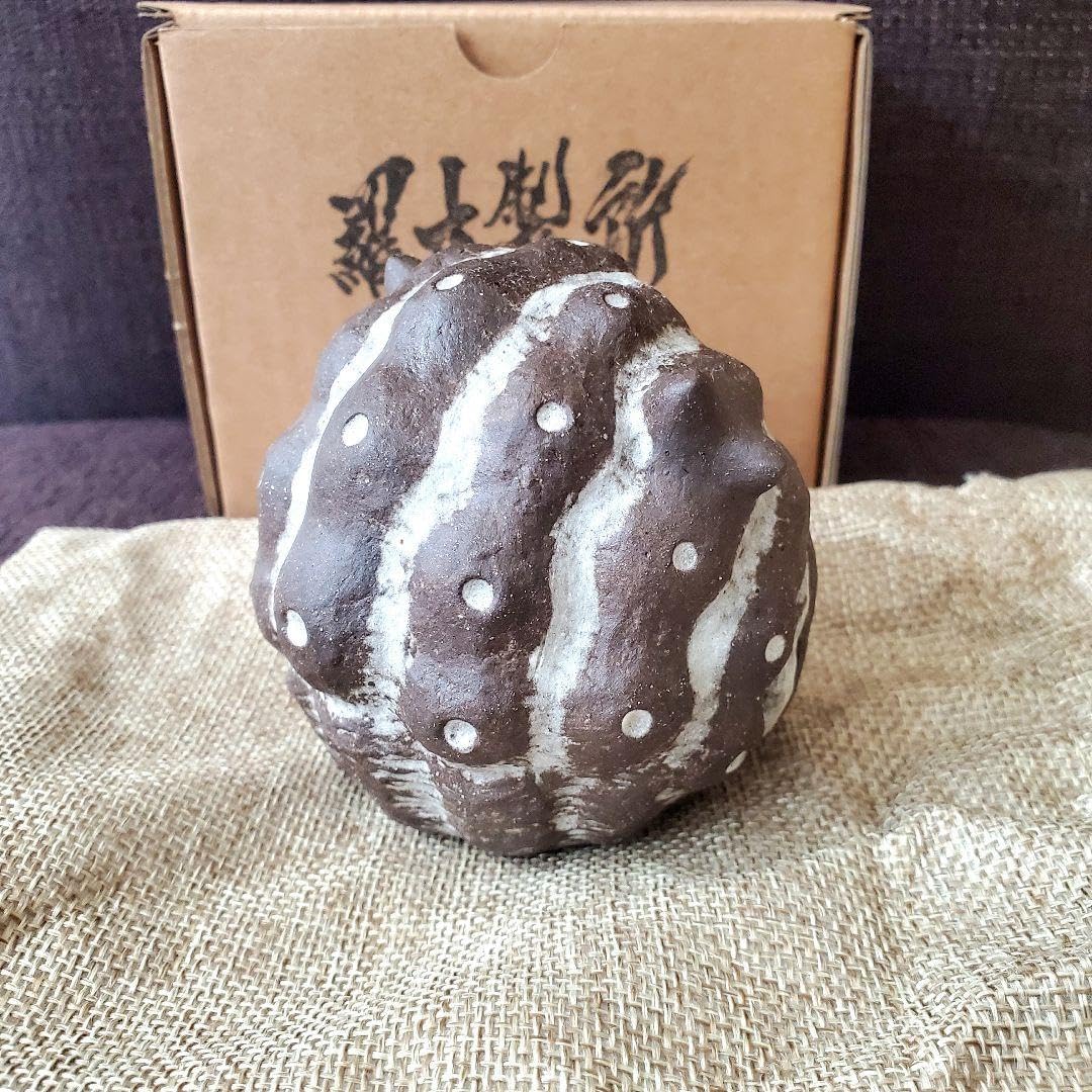 羅本製所 Copiapoa Daruma Monster ロビン 達磨 羅本製所 Copiapoa Daruma Monster ロビン 達磨 CP Huang