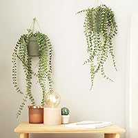 Vista 6 de RELBRO Ganchos de tornillo pequeños de 1/2 pulgada, mini ganchos de metal de rosca, negro, 100 piezas